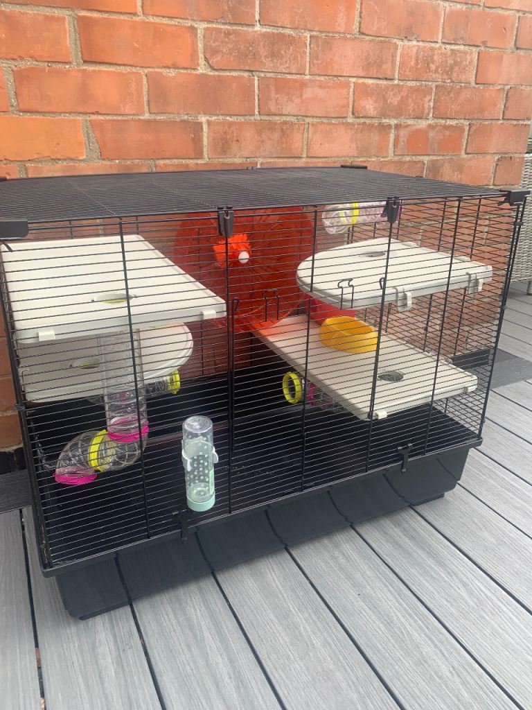 Hamster cage 
