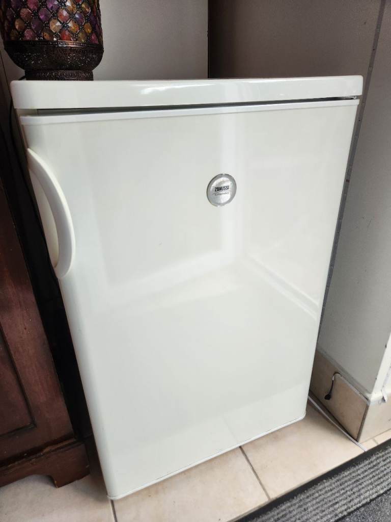 Zanussi Freestanding Fridge