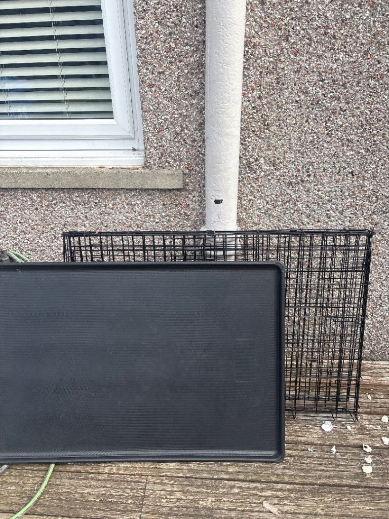 Large dog crate and bed