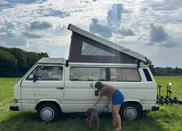 Westfalia Joker