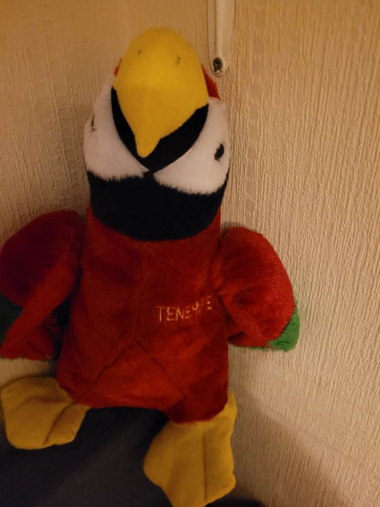 Cuddly toy parrot 