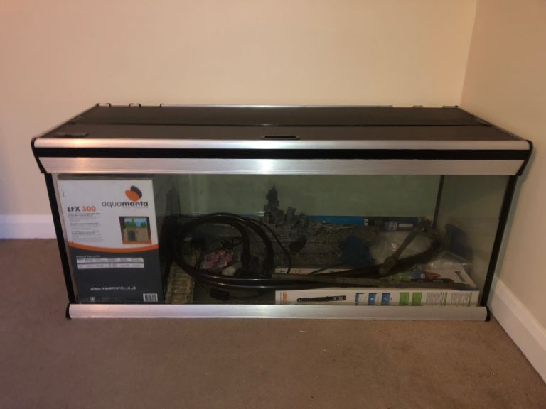 Fish tank setup 