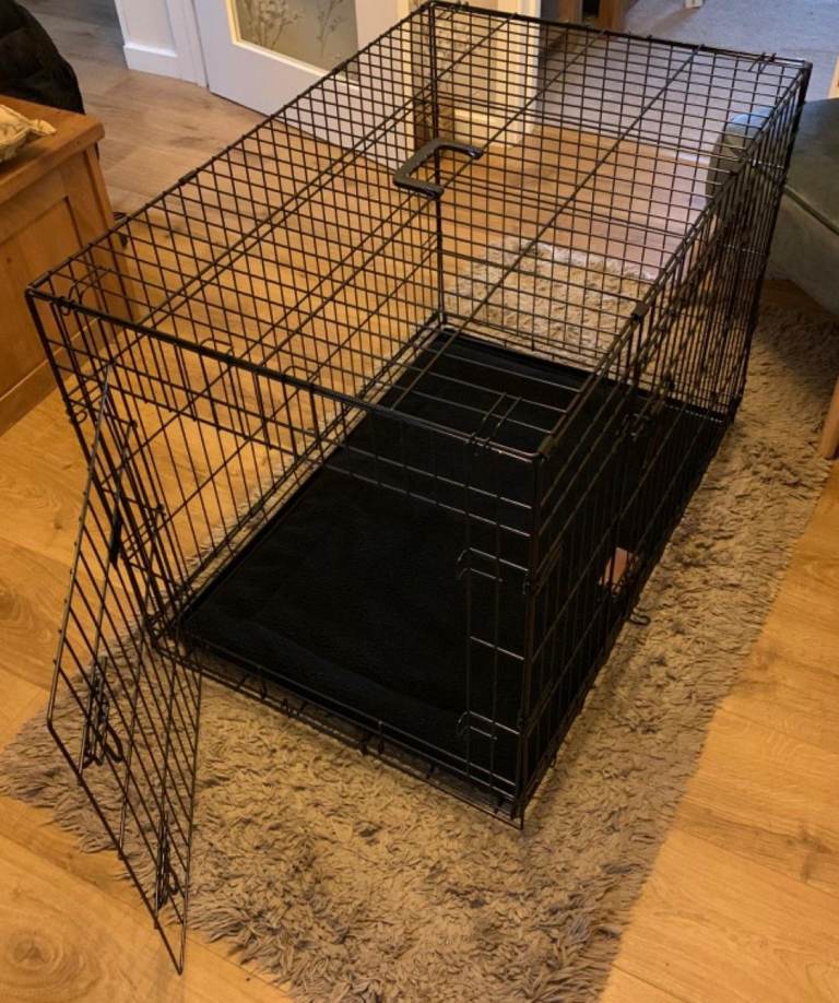 Black Standard Small 24-inch Folding 2-Door Dog crate