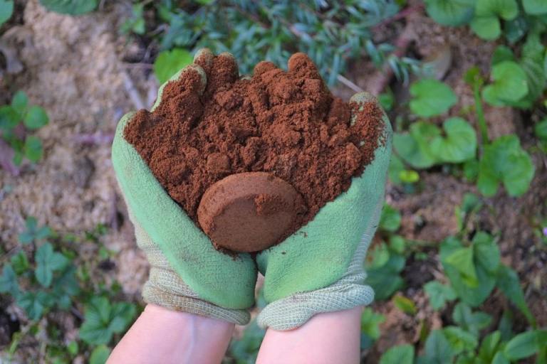 Used Coffee Grounds for Garden Compost Eco Friendly Fertiliser Mulch