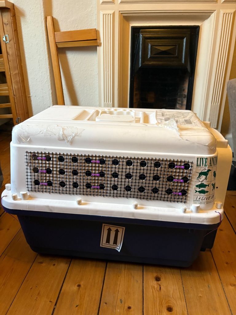 Airline approved pet carrier  