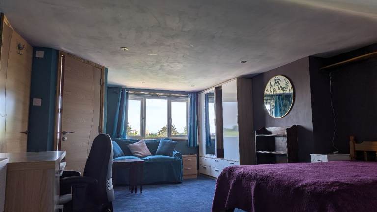 Looking for animal lover to rent very large room with ensuite