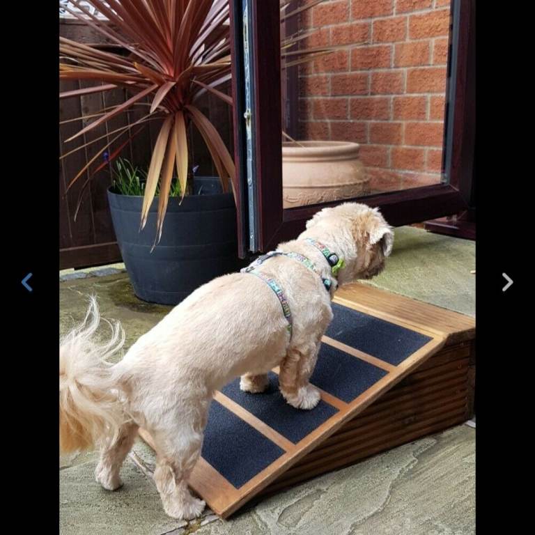 16cm H x 40cm W x 40cm L base Pet Ramp - Super Quality Strong