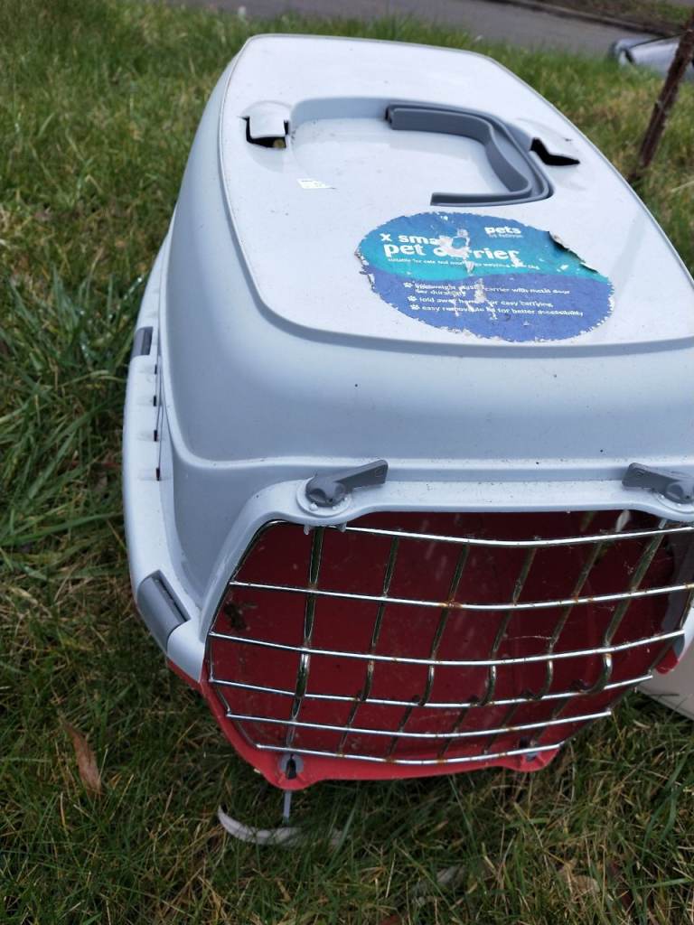 Pets carrier cats/ bunny & feeder