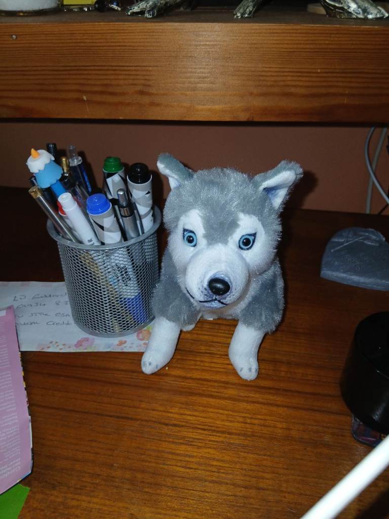 Barking husky as new
