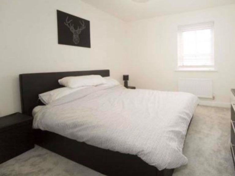 Students/Professionals double room with your own shower room available for rent in Eltham.