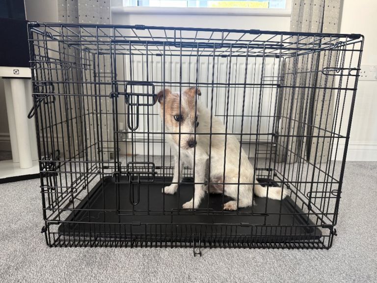Puppy/ dog crate medium