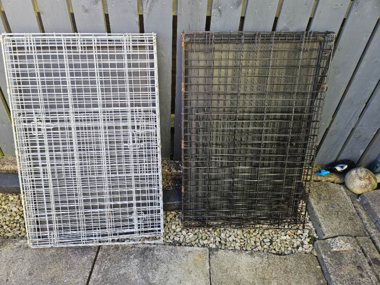 Large dog crates 
