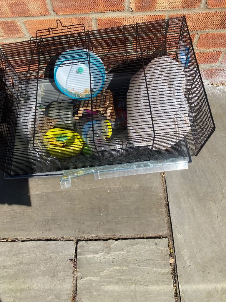 Hamster cage