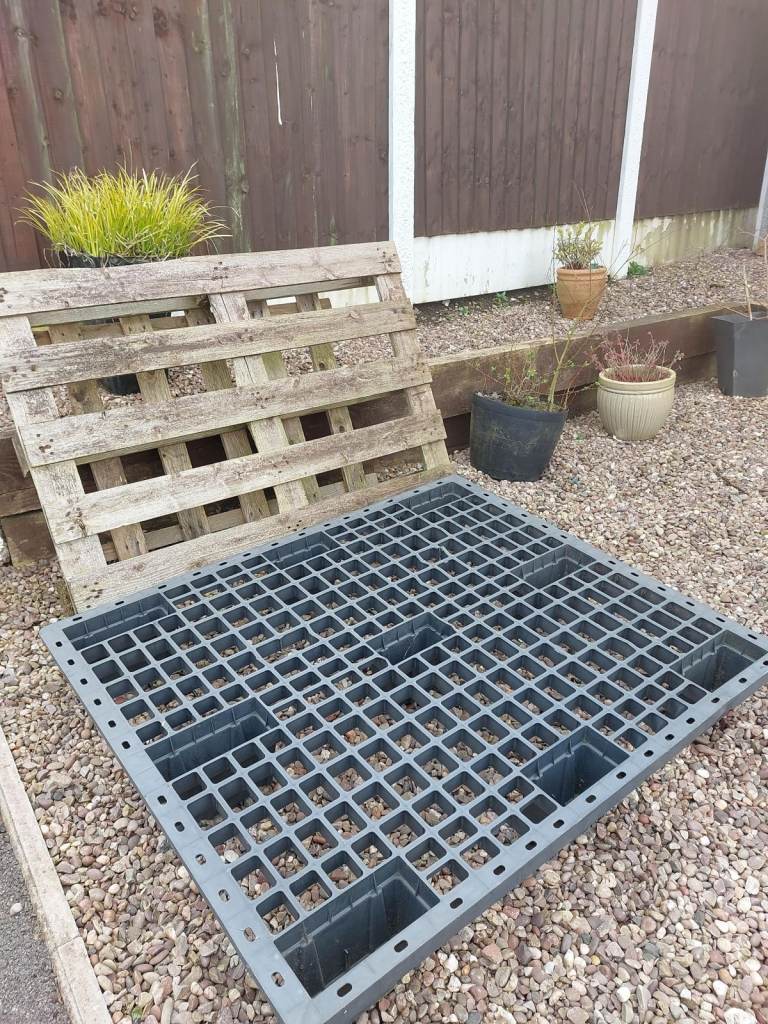 3 PALLETS, - 2 WOOD & 1 PLASTIC, FREE TO COLLECT