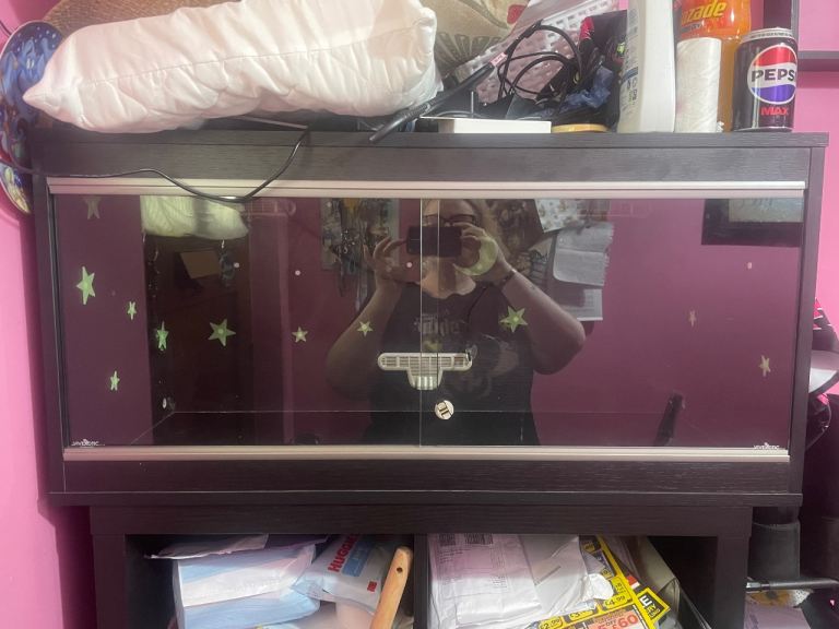 3 ft viv