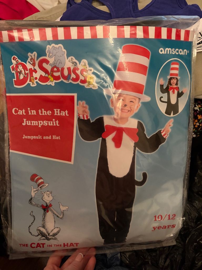 Cat in the Hat costume 