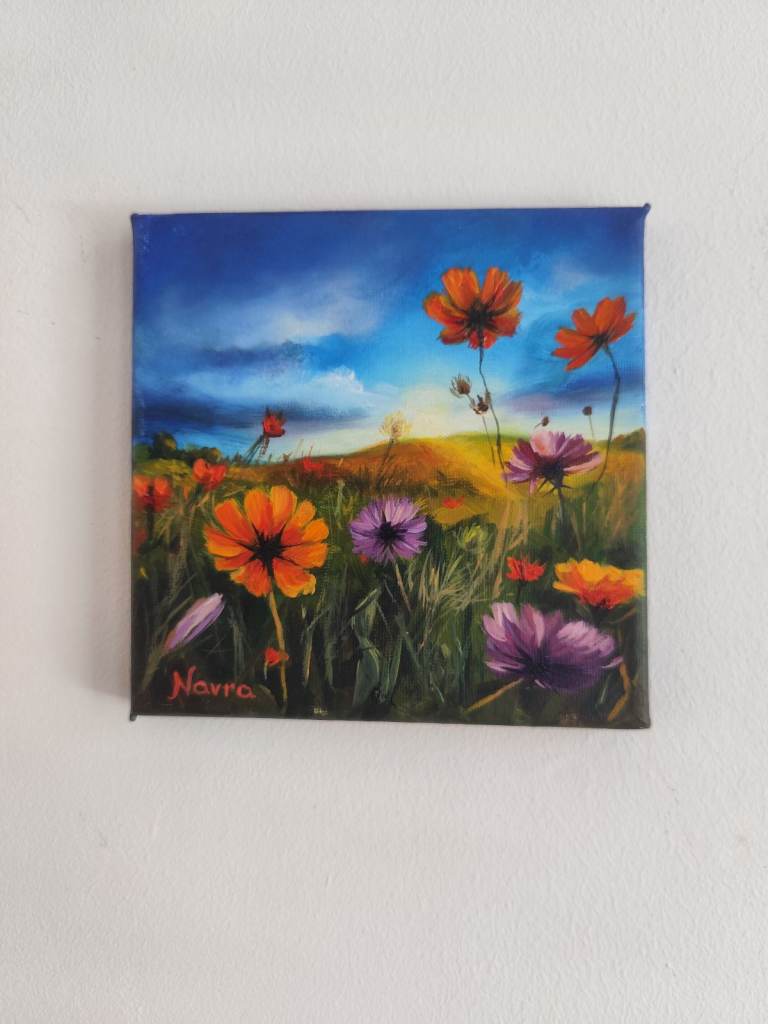 Meadow in sunset