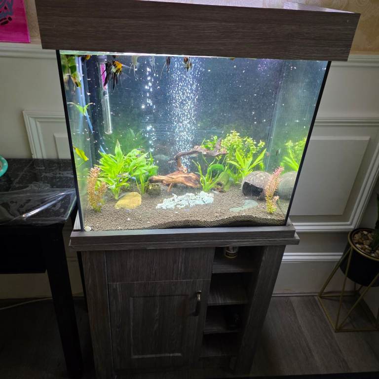 Fish tank Complete set-up