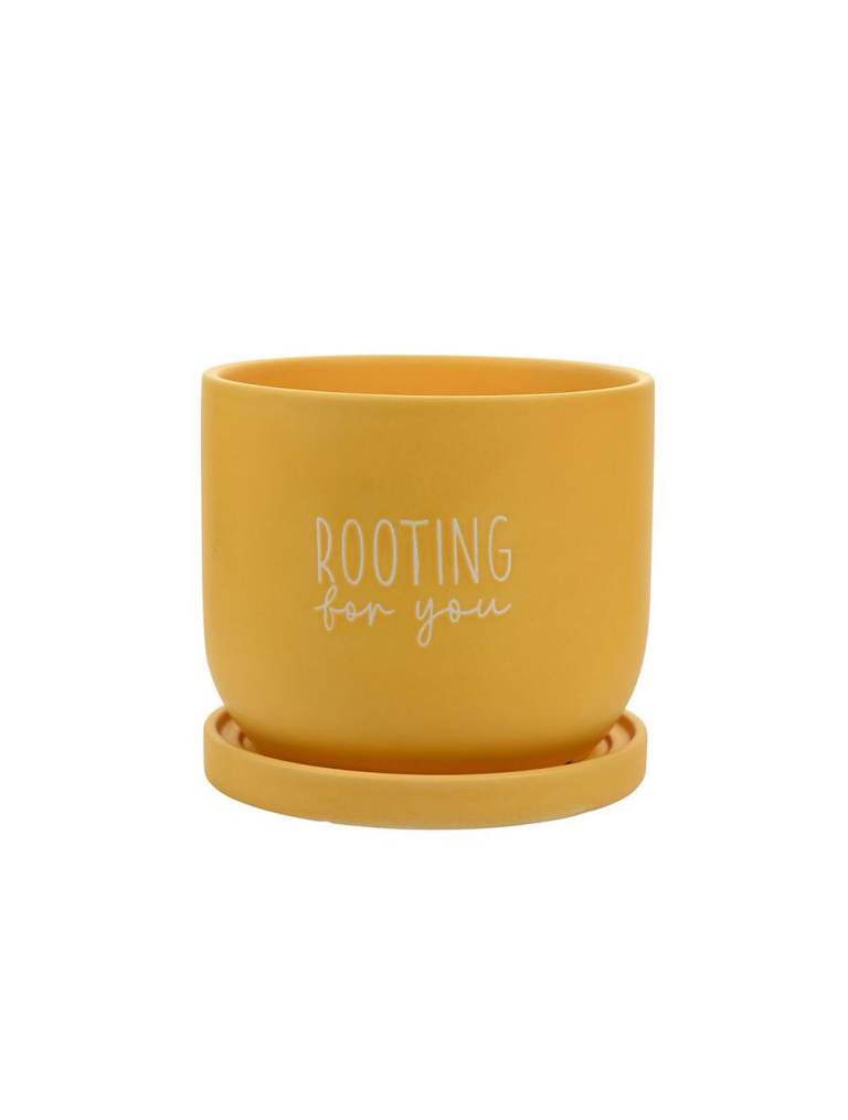 Indoor Plant Pot - Rooting For You
