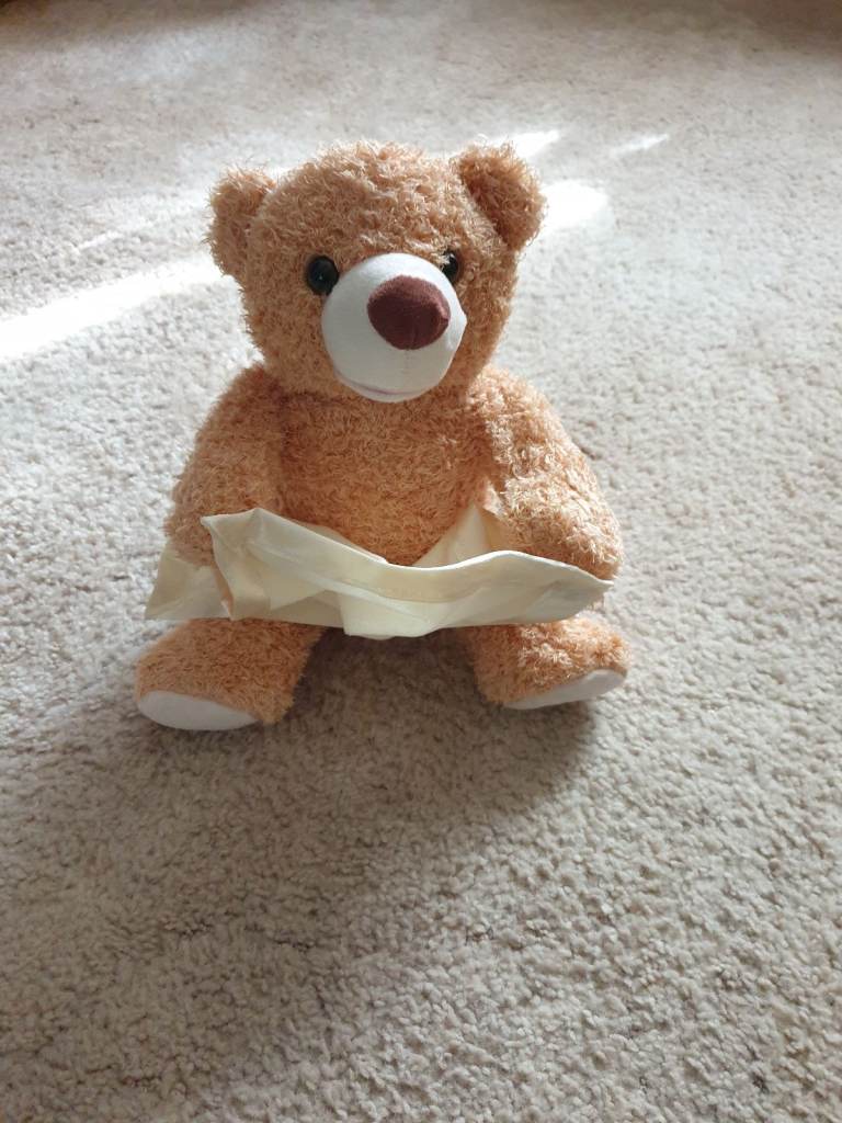 Peek a boo Teddy bear 