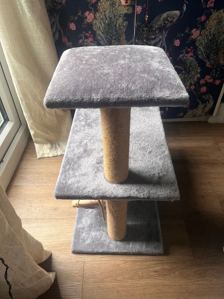 Cat climber 