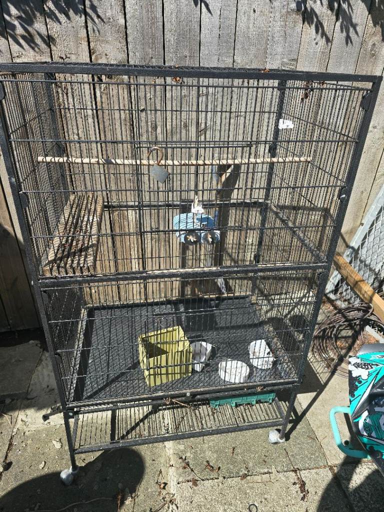 Bird cage 