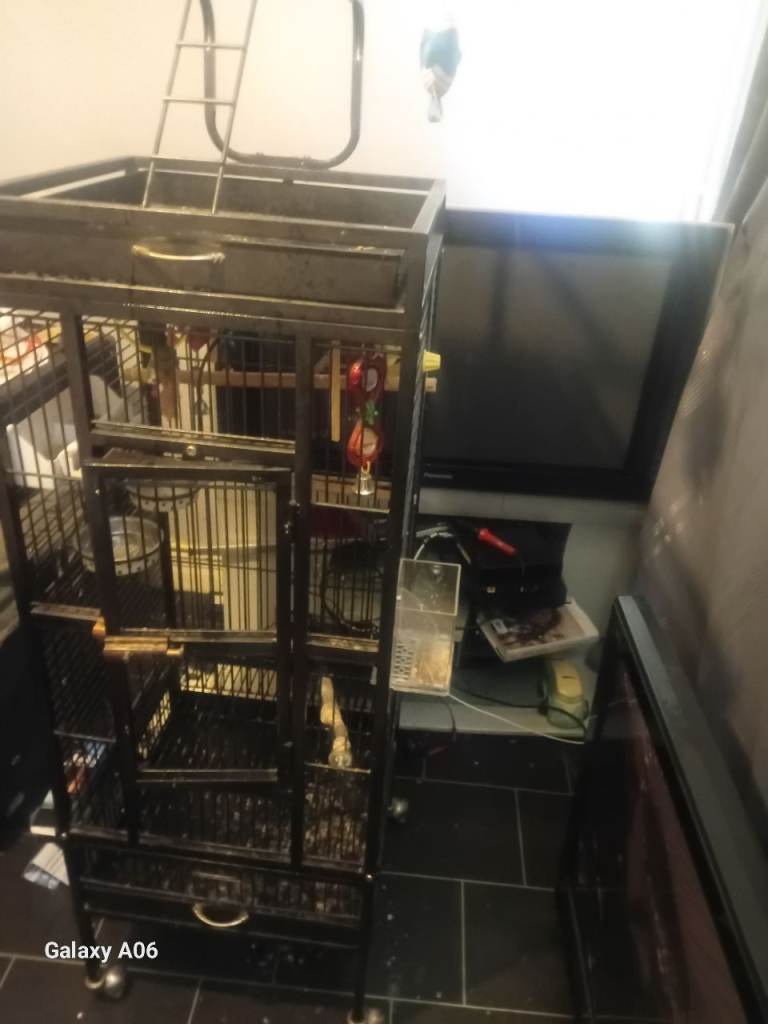 extra large bird cage