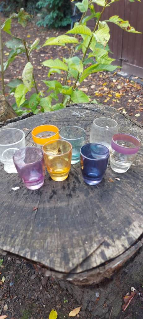 Shot glasses 