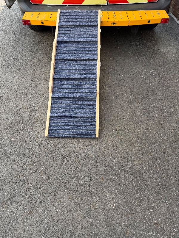 Dog ramp