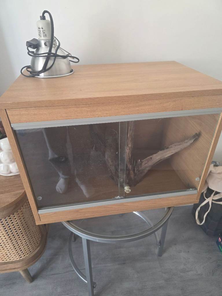 Vivarium with drift wood 