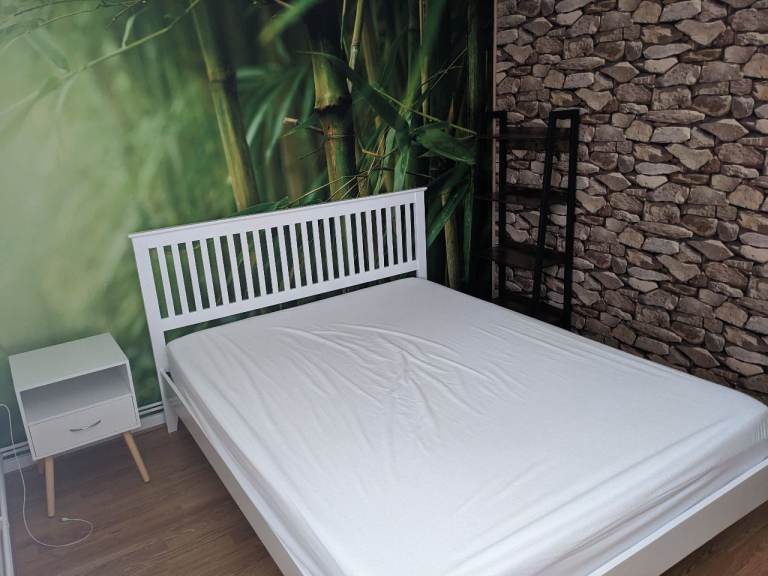 Large double room in Westbury on Trym/Brentry