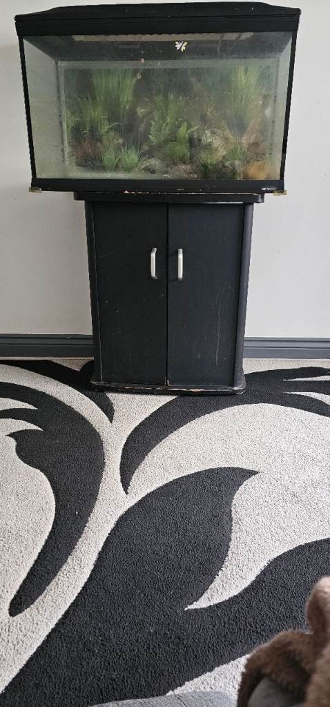 Free fish tank