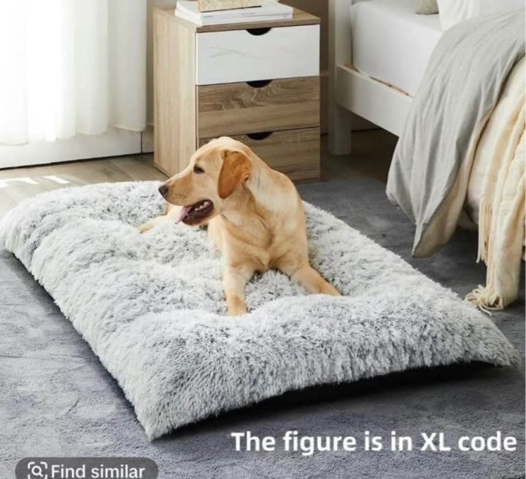 Brand new pet bed 