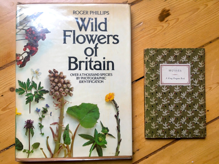  WILD FLOWERS OF BRITAIN + MOSSES BOOKS. Beautiful illustrations & poster
