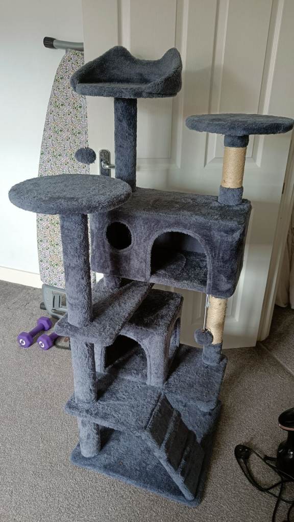 Cat scratching stand play 