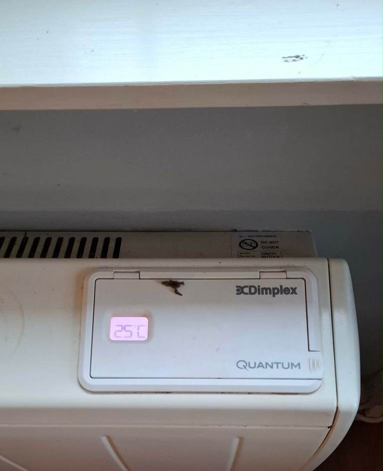 Dimplex storage heaters x3