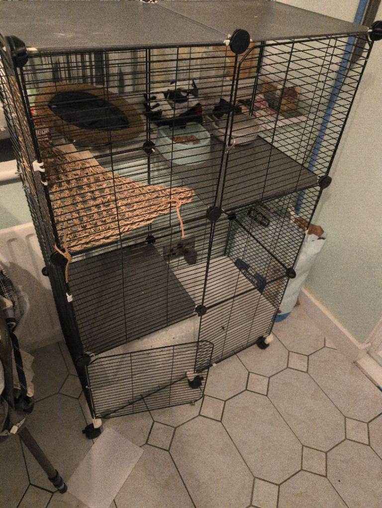 Cage for small animal