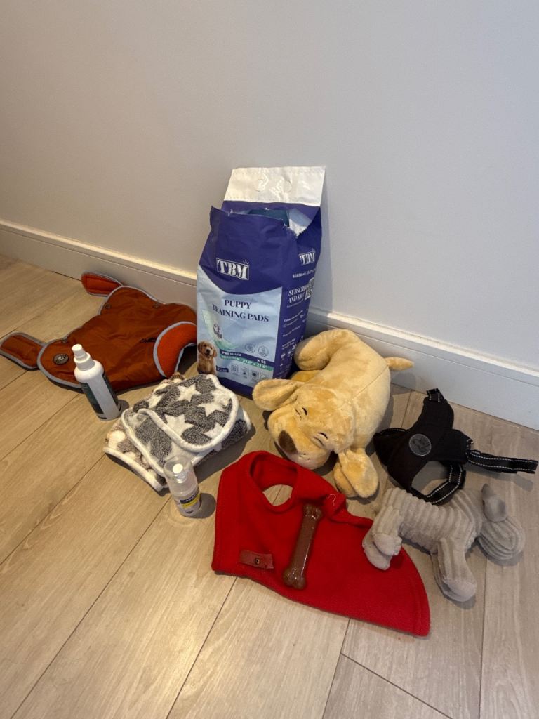 FREE – Puppy/Dog Starter Bundle 🐶