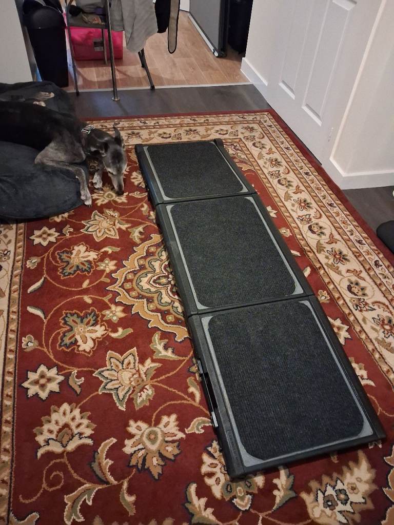 Large folding dog pet ramp 