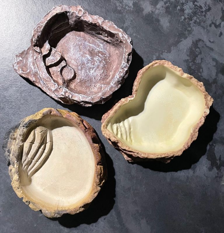 3 Reptile Bowl/ponds