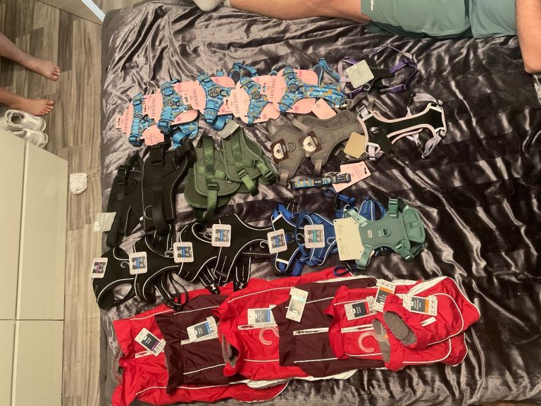 Dog coats and harnesses 
