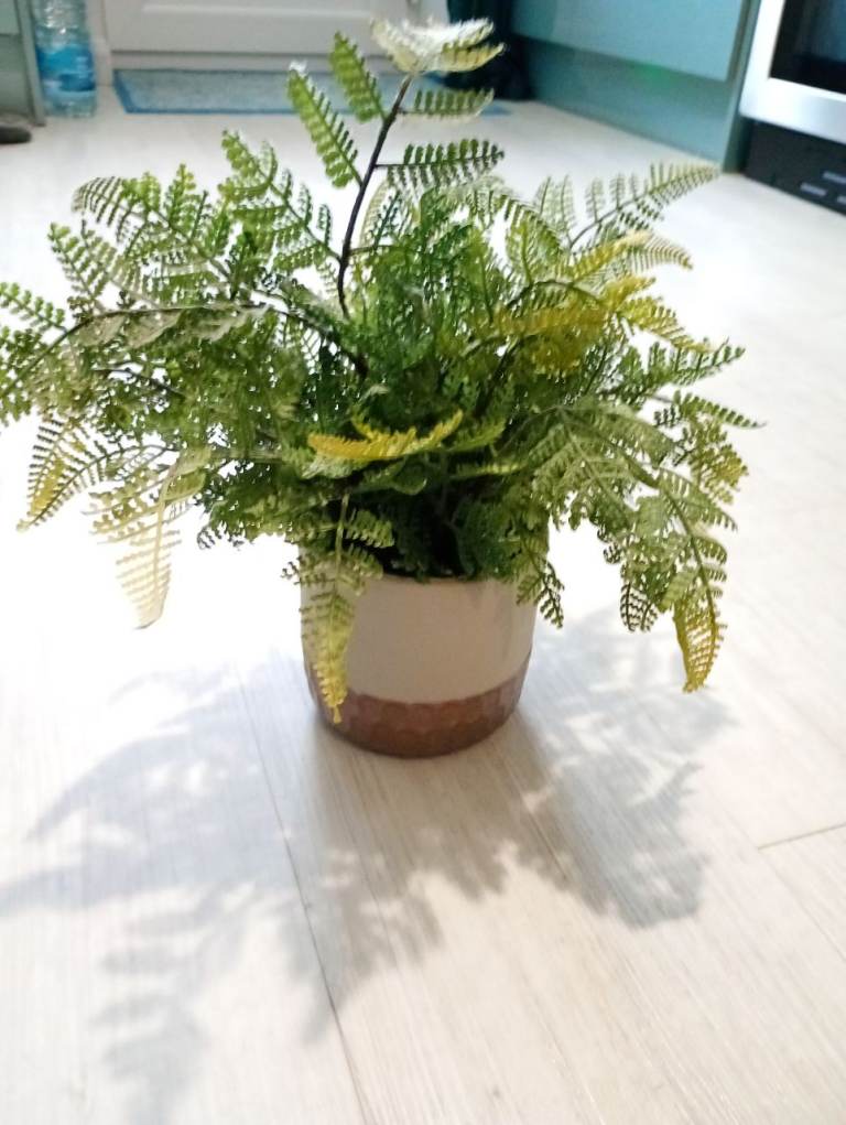 Medium faux fern in ceramic pot 