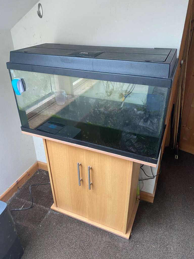 100 litre Fish tank and accessories 