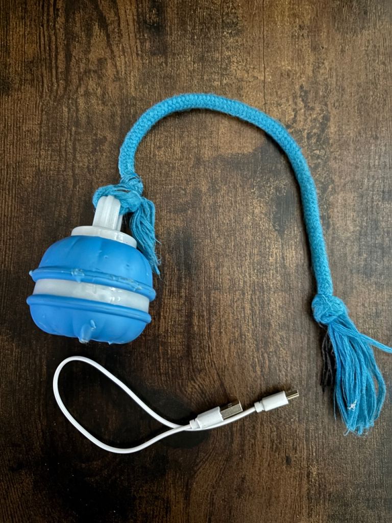 Powered dog toy 