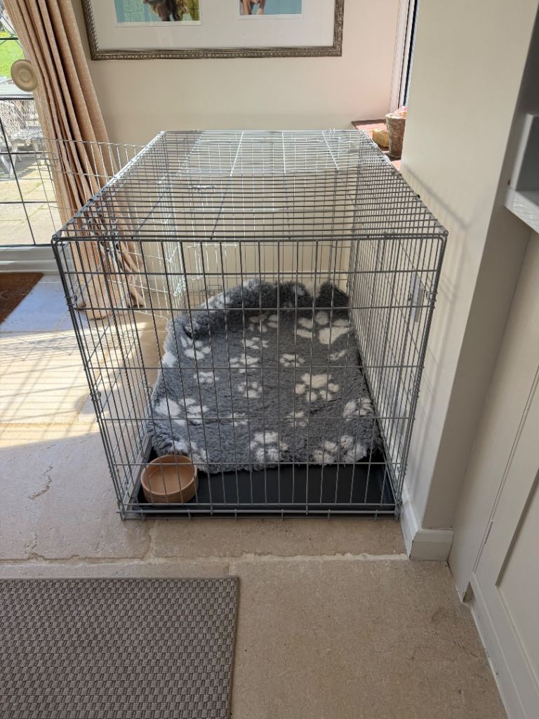 Large dog crate- Pets at Home 