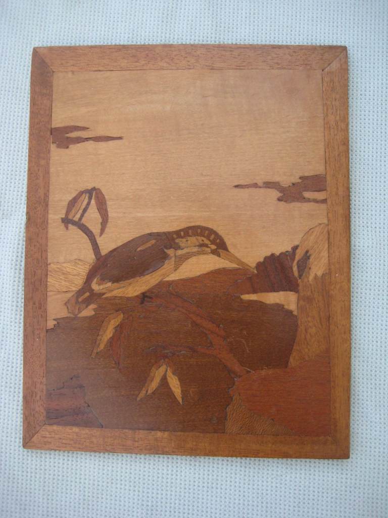 Tropical Bird on a Tree Made Using Marketry in Wood for £10.00