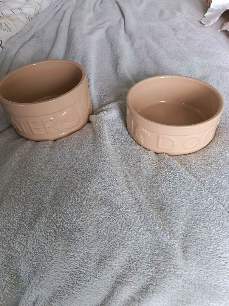 2 large dog bowls 
