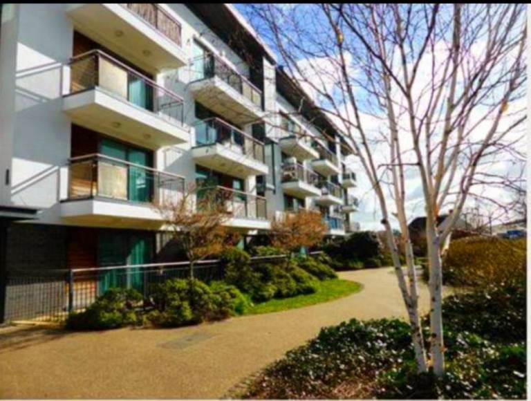 Need a 2 or 3 bed house 