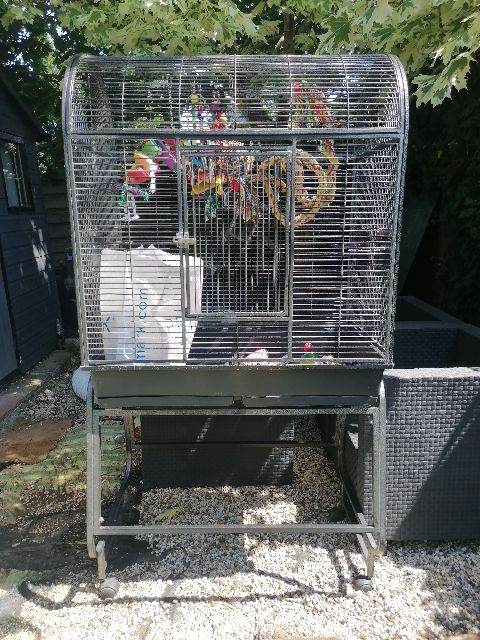Parrot Cage With x6 perches x6 toys multivitamins seeds nuts and x3 Bowls