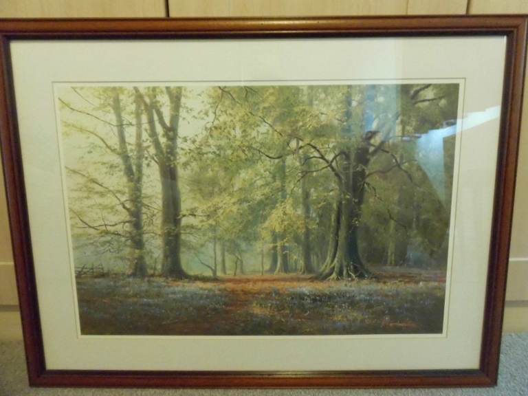 Framed Woodland Print with Bluebells – Good Condition